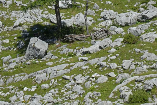 Gebäudereste auf der Mandlalm