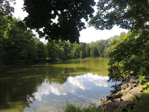 Blick auf den Schwanensee