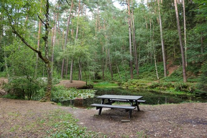 Rastplatz am Teich