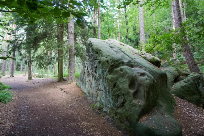 Felsen in der Einberger Schweiz