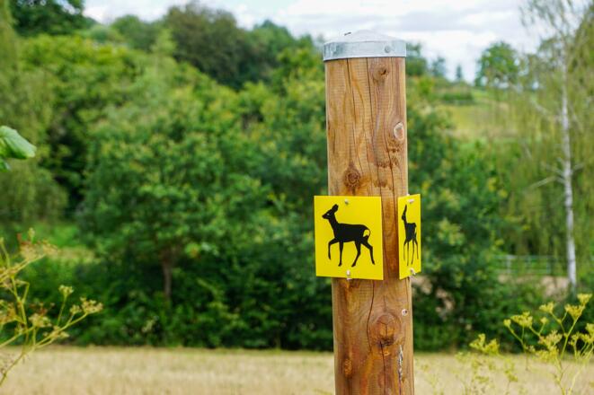 Beschilderung Wanderweg Hemmendorf