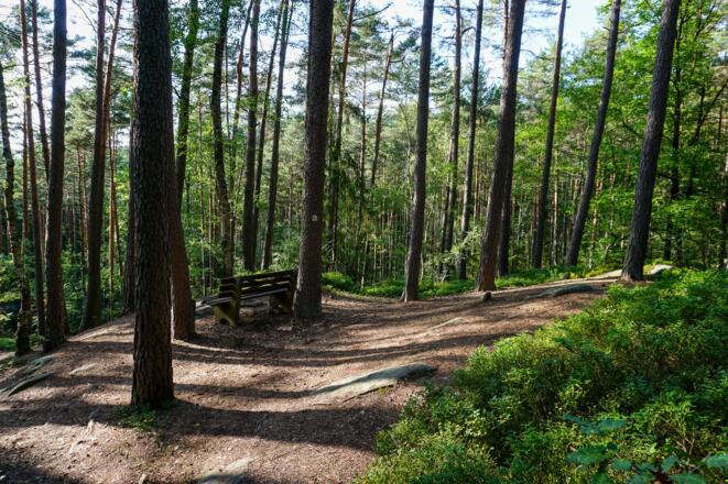 Ruhebank an der Teufelskanzel