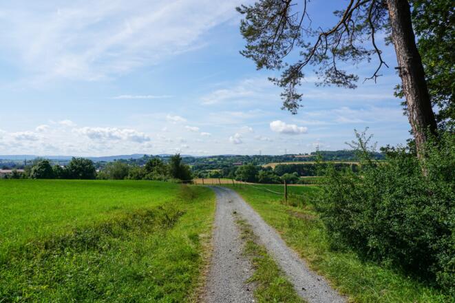 Forstweg Richtung Marktgraitz