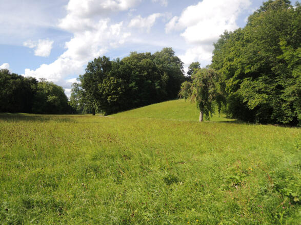 Am Schlosspark Rosenau