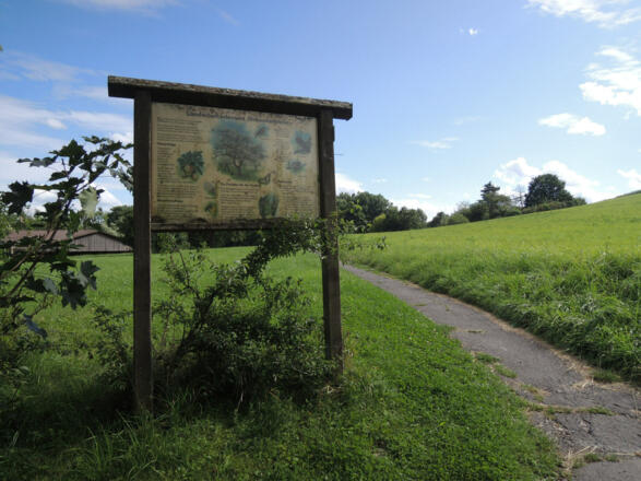 Informationstafel auf dem Naturlehrpfad Lauterburg