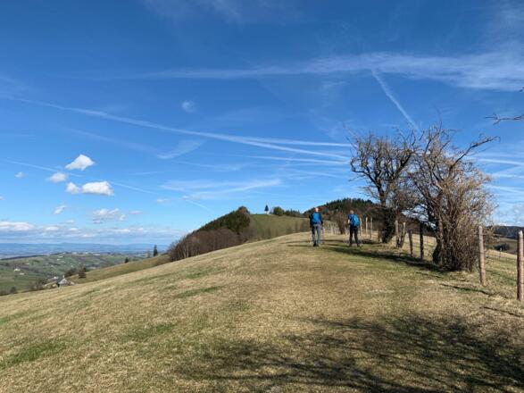 natur.Bank.wege - Freithofberg