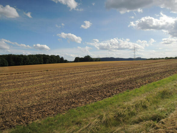 Blick auf die Veste Coburg in der Ferne