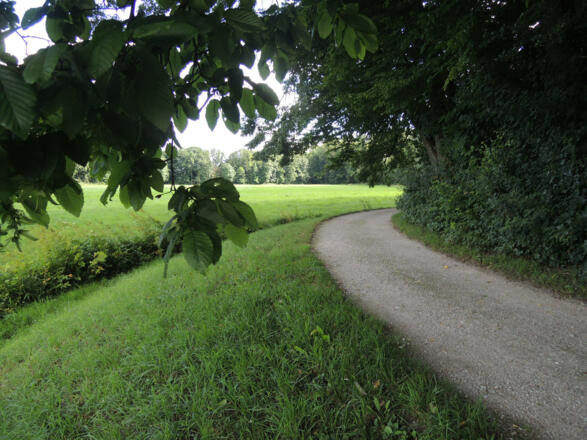 Am Waldrand im Schlosspark Rosenau