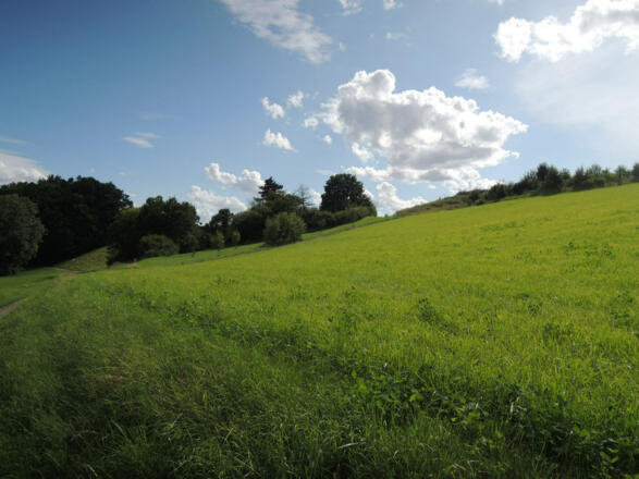 Ausblick auf dem Naturlehrpfad Lauterburg