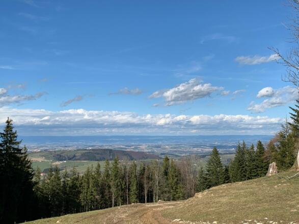 natur.Bank.wege - Freithofberg - Ausblick in die umliegende Bergwelt