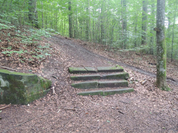 Auf dem Naturlehrpfad Lauterburg