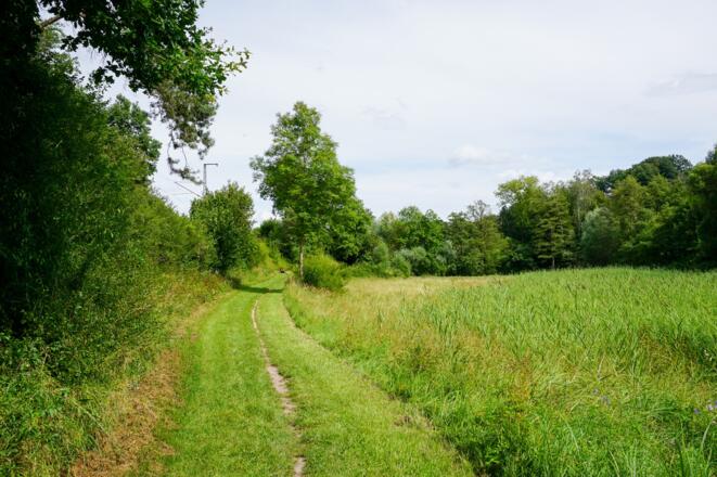 Trampelpfad an der Bahnlinie