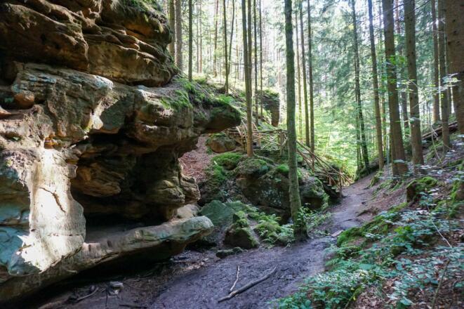In der Saulochklamm