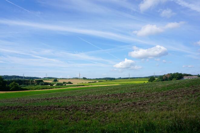Ausblick über die Felder