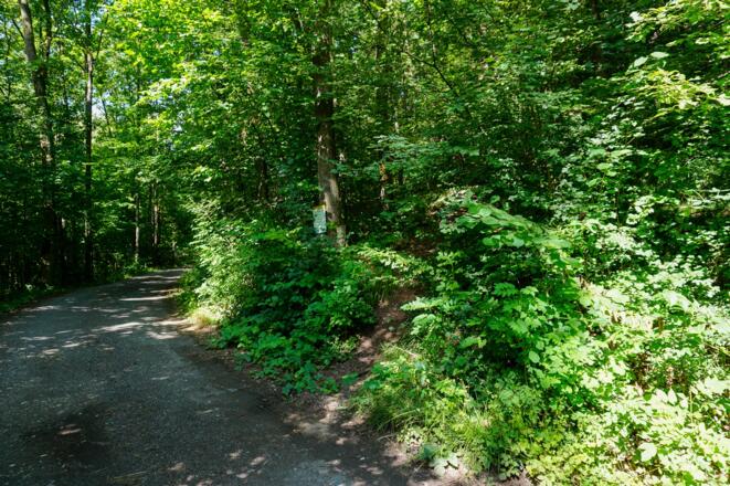 Nach der Mühle zweigt rechts ein schmaler Pfad ab, diesem folgen wir steil bergauf.
