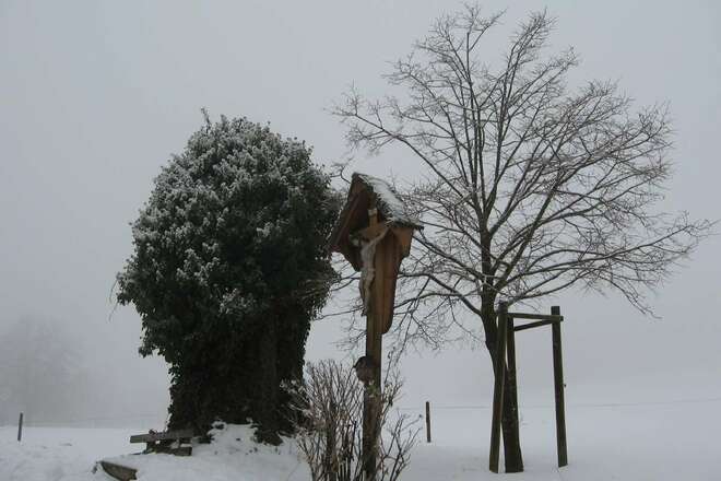 Friedenslinde in Kematen bei Bad Feilnbach