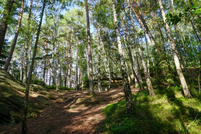 Felsen in der Einberger Schweiz