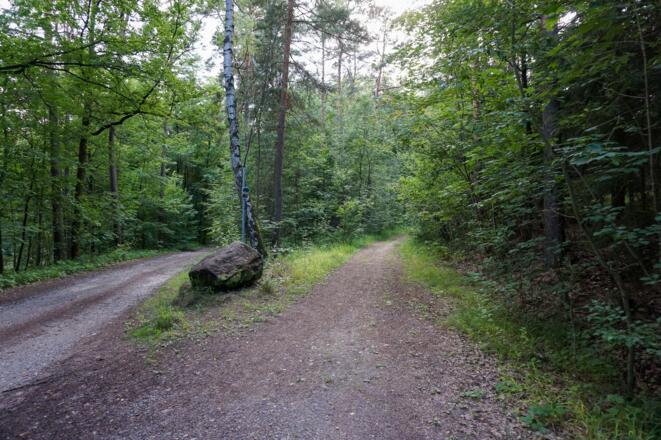 Wir wählen den rechten Weg.