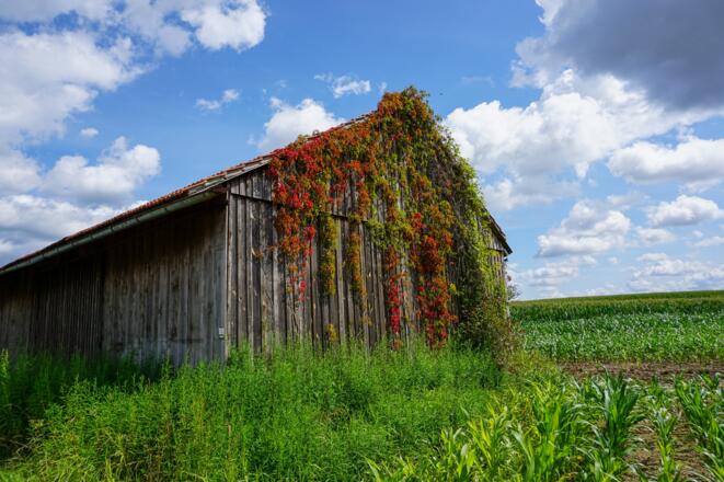 Stadel am Ortseingang von Trübenbach