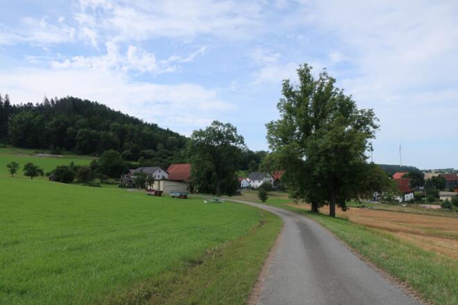 Zurück nach Plesten