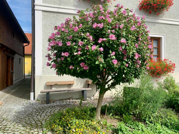 natur.Bank.wege - zwischen Gemeindeamt und Bauernladen Großraming