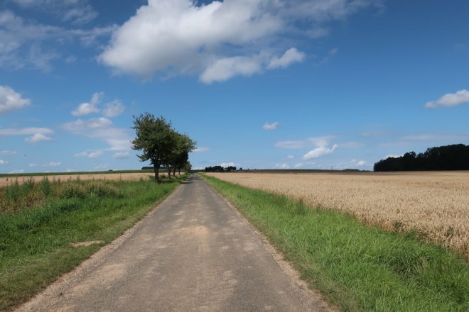 Auf dem Weg zum Ulrichstock