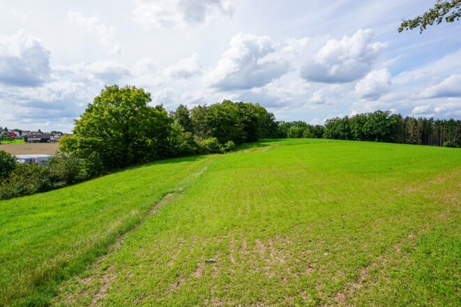 Hier biegen wir links ab.