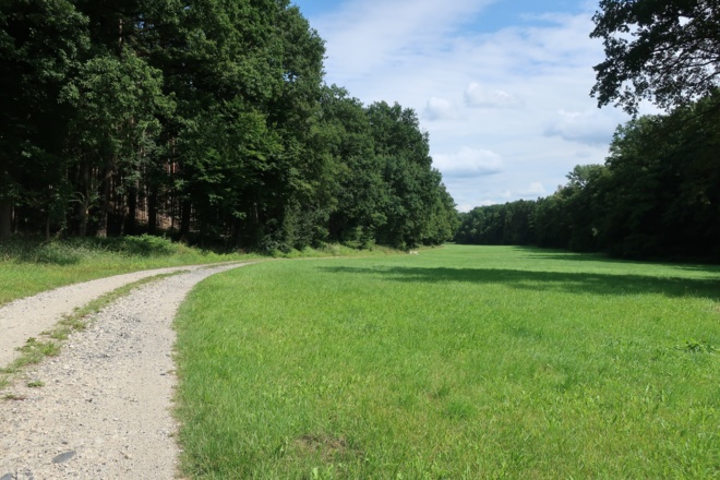 Der Weg hinter Neuses an den Eichen