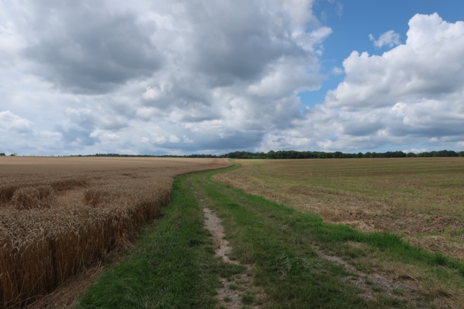 Auf dem Weg zum Rückäckerholz