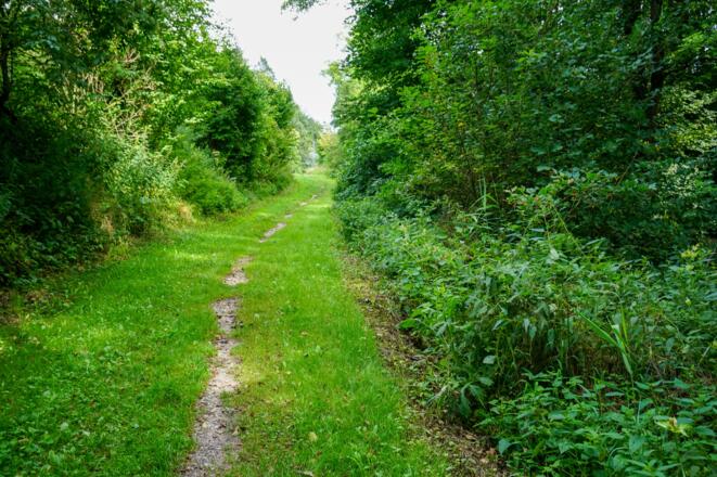 Trampelpfad an der Bahnlinie