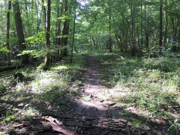 Auf dem Naturlehrpfad Lauterburg