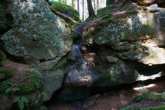 In der Saulochklamm