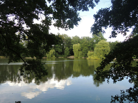 Idyllische Weiden am Ufer des Schwanensees