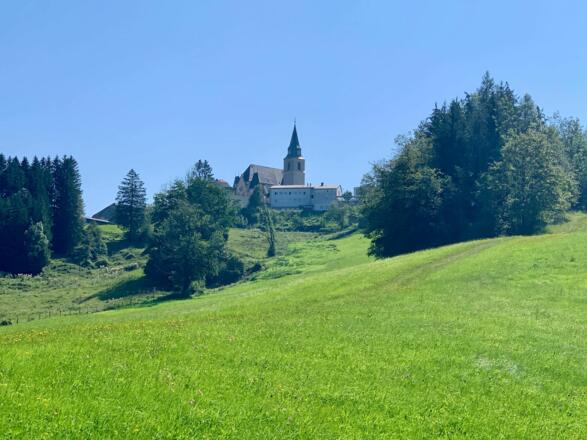 natur.Bank.wege - Blick auf die Wallfahrtskirche Maria Neustift