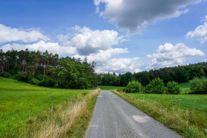 Forstweg Richtung Schneckenlohe