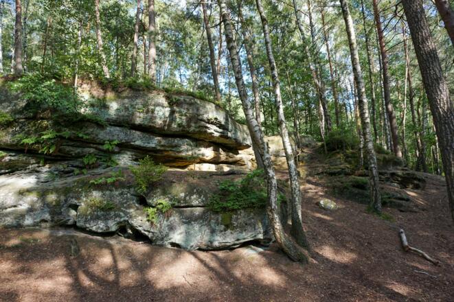 Felsen in der Einberger Schweiz