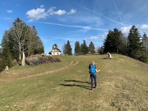 natur.Bank.wege - Freithofberg - am Weg zur Hütte