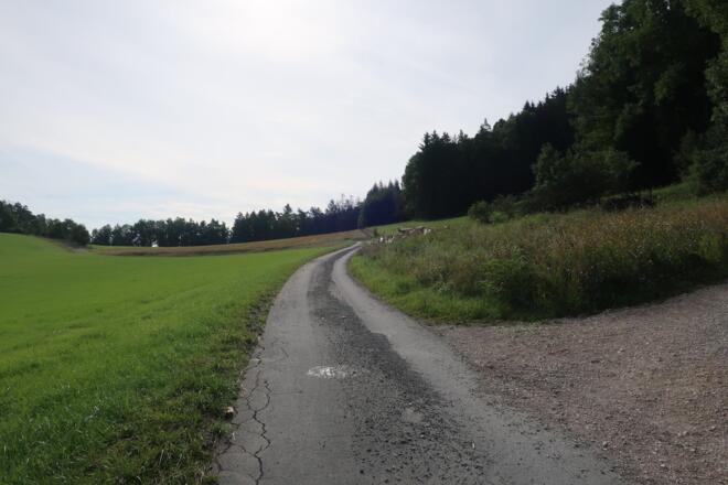 Zum Plestener Spitzberg