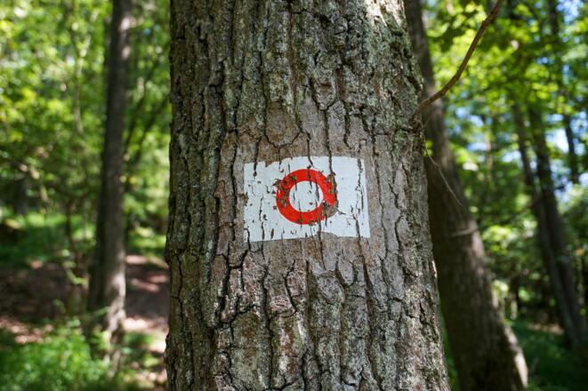 Wegbeschilderung auf der ganzen Runde