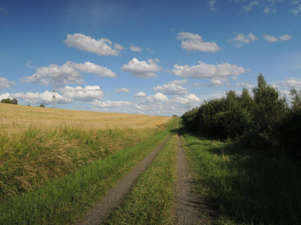Auf dem Naturlehrpfad Lauterburg