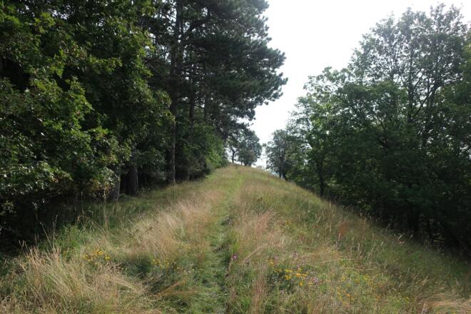 Der Weg zur Aussichtsbank auf dem Plestener Spitzberg