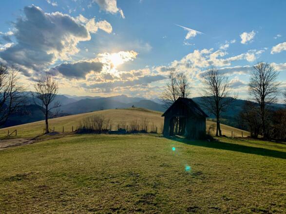 natur.Bank.wege - Freithofberg