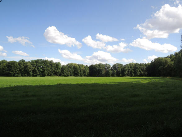 Ausblick vom Schlosspark Rosenau