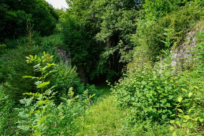 Naturnaher Pfad vor dem Augustafelsen