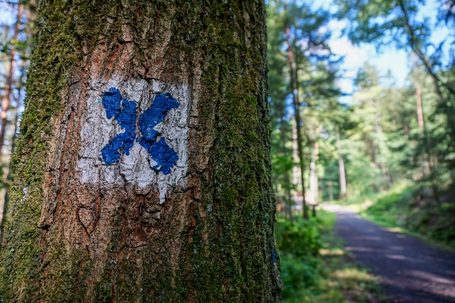 Wegbeschilderung blaues Kreuz auf weißem Grund