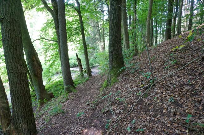 Waldpfad zur Helenenquelle