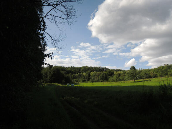 Auf dem Naturlehrpfad Lauterburg