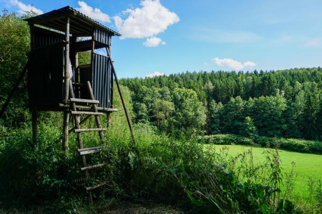 Hochsitz in der Einberger Schweiz