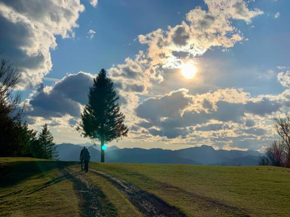 natur.Bank.wege - Freithofberg