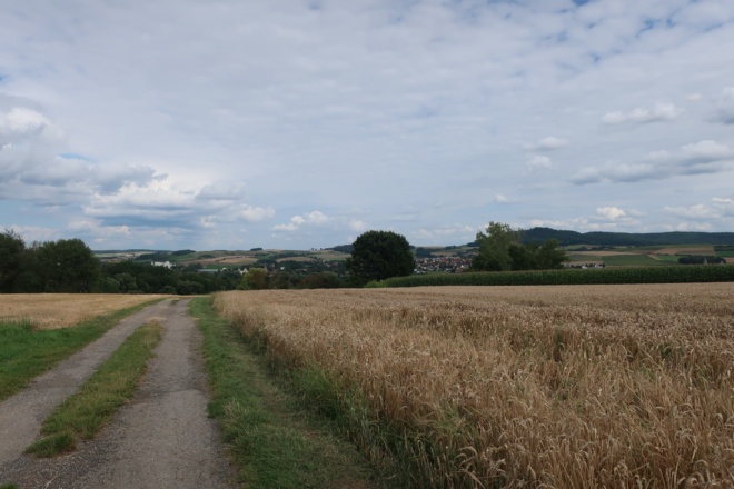 Zurück nach Buchenrod